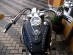 Suzuki Volusia VL, C 800 Intruder C50 Boulevard LEATHER TANK Pad Cover Panel Bib